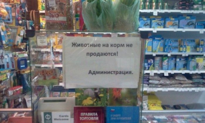 Смешные маразмы и объвления