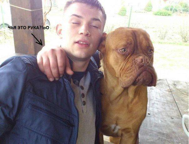 Прикольные картинки