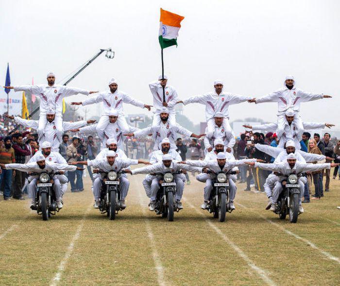 Прикольные картинки