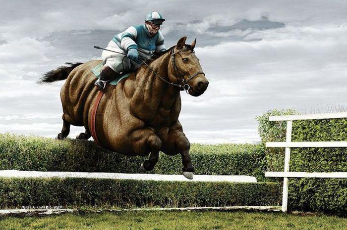 Прикольные картинки