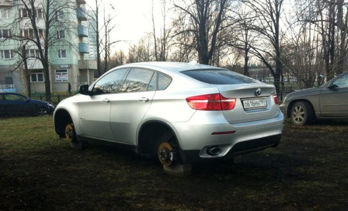 Прикольные картинки