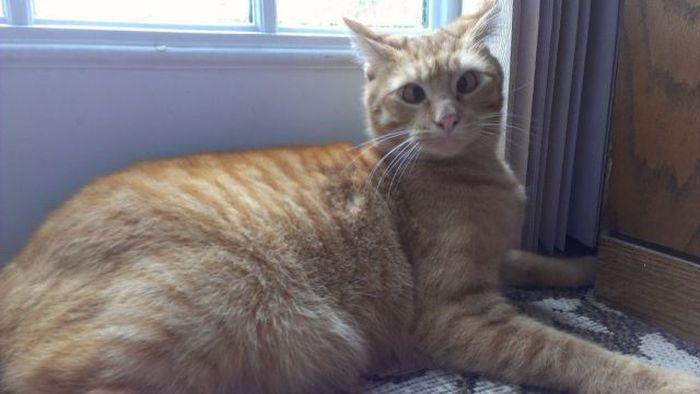 Прикольные картинки