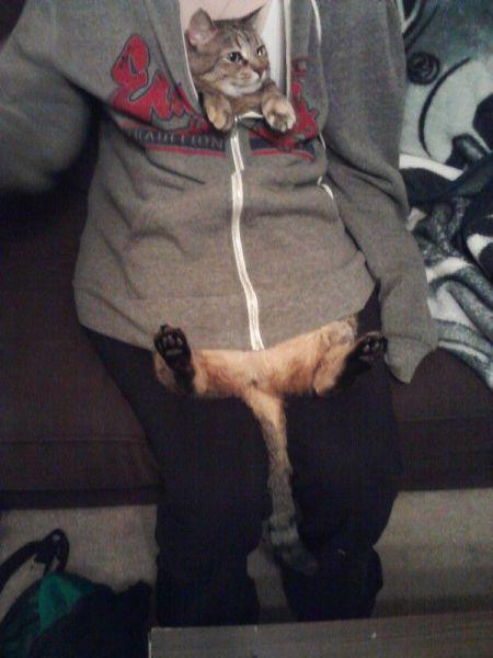 Прикольные картинки