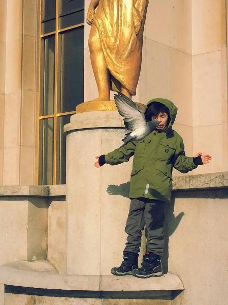 Прикольные картинки