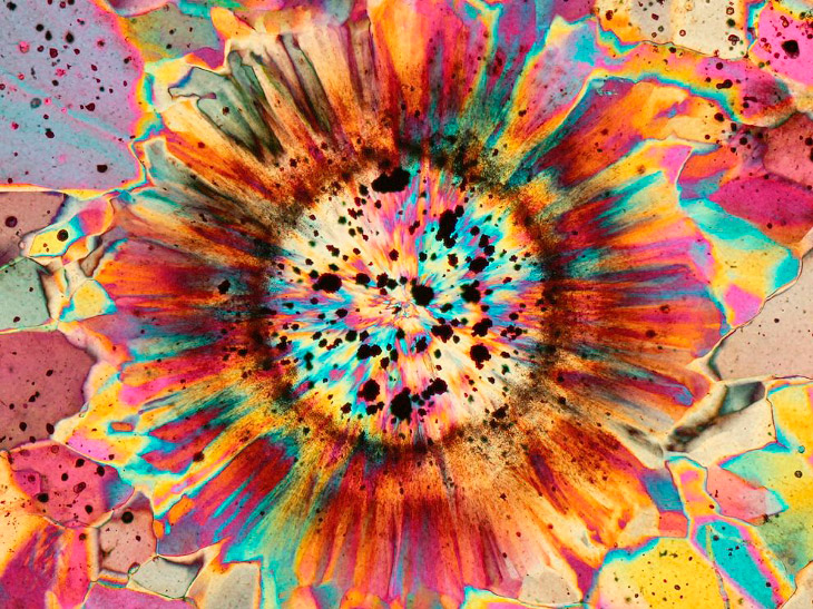 National Geographic: лучшие фотографии февраля