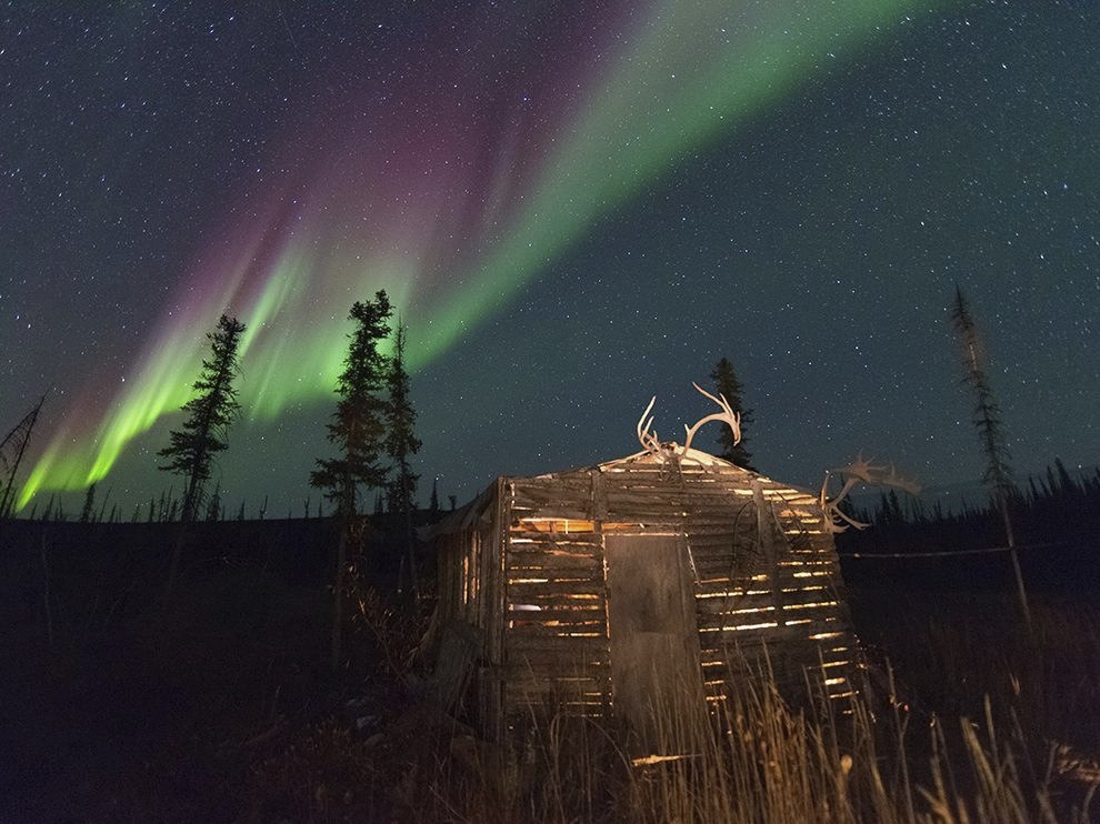 National Geographic: лучшие фотографии февраля
