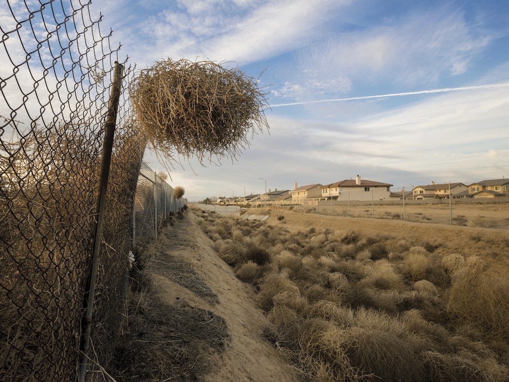 National Geographic: лучшие фотографии февраля