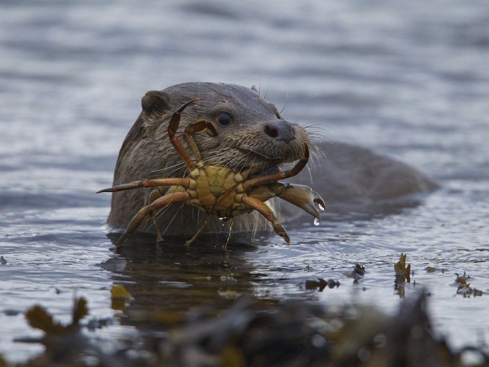 National Geographic: лучшие фотографии февраля