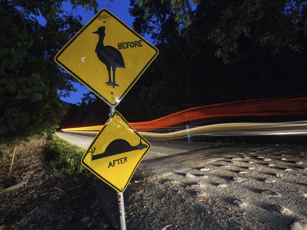 National Geographic: лучшие фотографии февраля