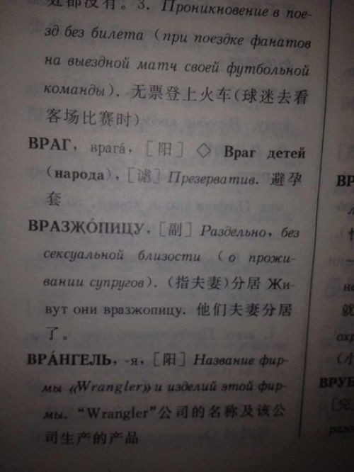 Иностранцы учат русский язык (22 фото)