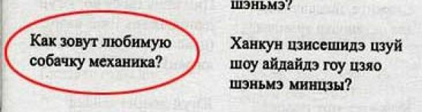 Иностранцы учат русский язык (22 фото)