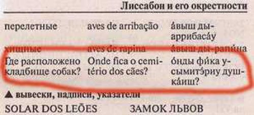 Иностранцы учат русский язык (22 фото)