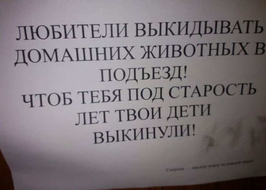 Народные маразмы (45 фото)