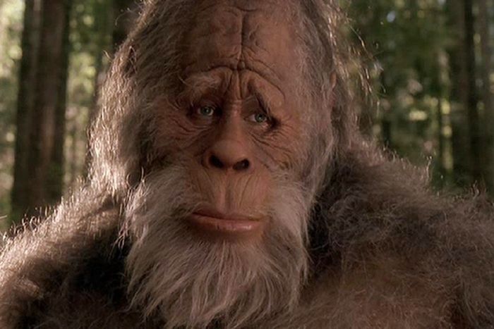 Самые популярные лженауки (11 фото)