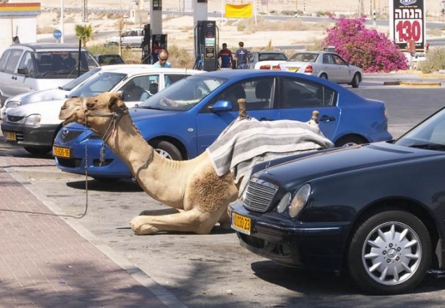 19 невероятных вещей, которые возможны только в Дубае