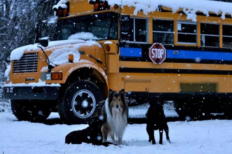 Внутри школьного автобуса, переделанного в уютный дом на колесах с дровяной печью