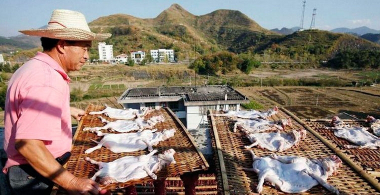 9 национальных особенностей жителей Китая, которые вас удивят 9 национальных особенностей жителей Китая, которые вас удивят