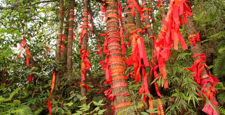 9 национальных особенностей жителей Китая, которые вас удивят 9 национальных особенностей жителей Китая, которые вас удивят