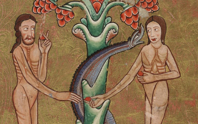 10 самых распространенных мифов о змеях 10 самых распространенных мифов о змеях