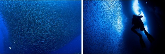 30 явлений природы, в существование которых сложно поверить