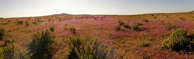 30 явлений природы, в существование которых сложно поверить