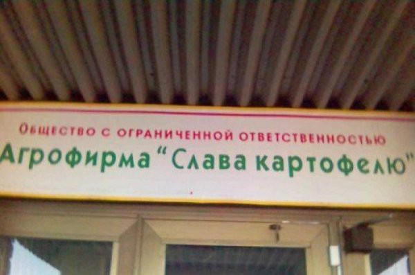 Прикольные вывески и объявления