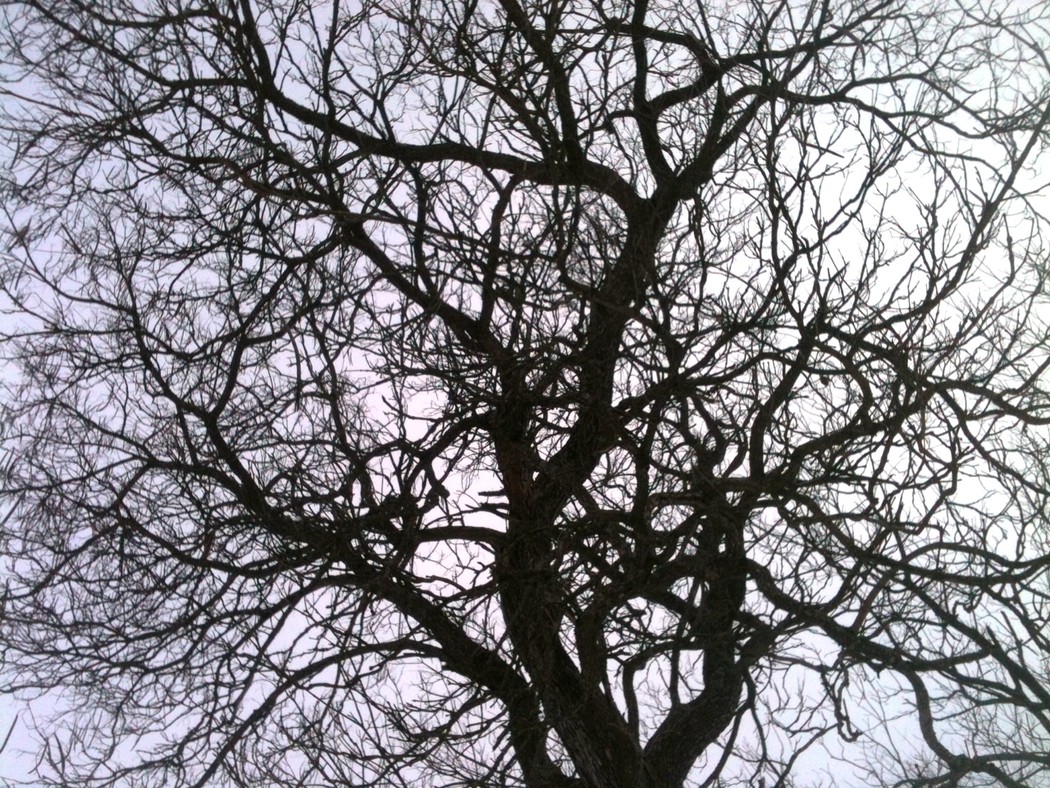 Интересно о Швейцарии