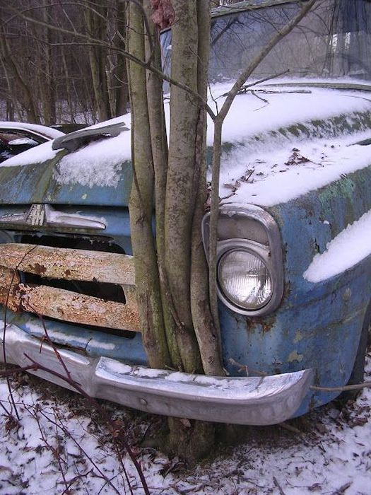 Любопытные фото заброшенных мест