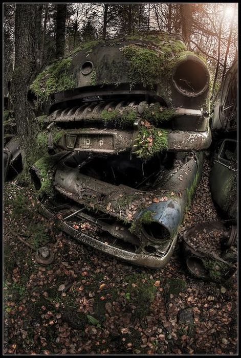 Любопытные фото заброшенных мест