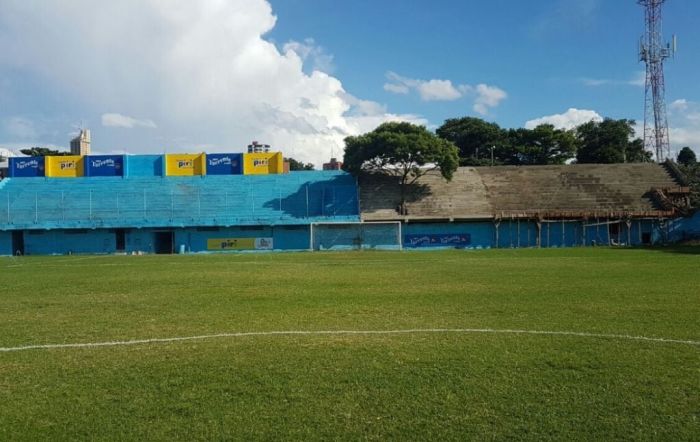 В Парагвае трибуну построили вокруг растущего на стадионе дерева