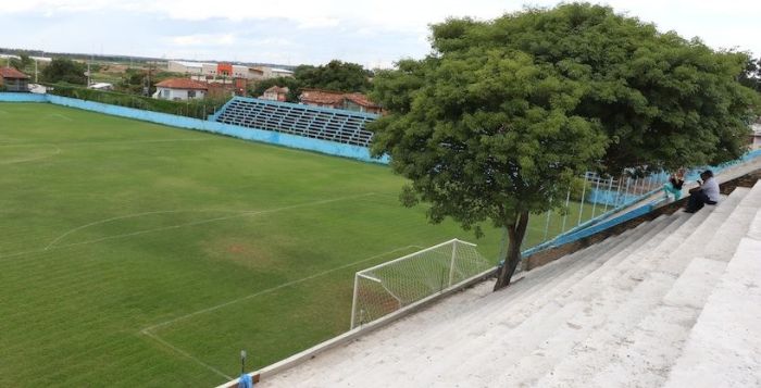 В Парагвае трибуну построили вокруг растущего на стадионе дерева