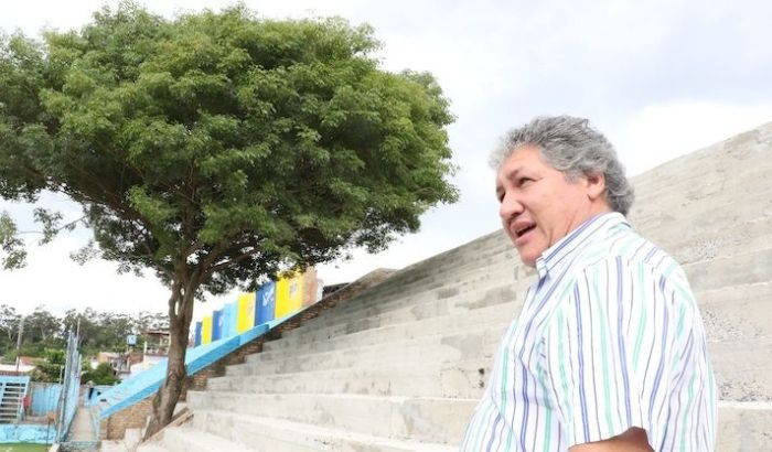 В Парагвае трибуну построили вокруг растущего на стадионе дерева