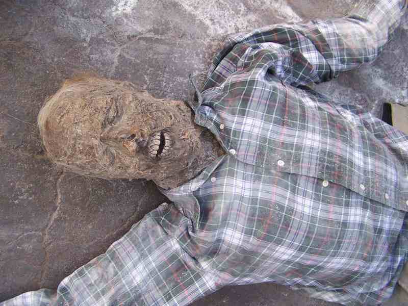 Жуткие вещи, найденные новыми владельцами домов Жуткие вещи, найденные новыми владельцами домов