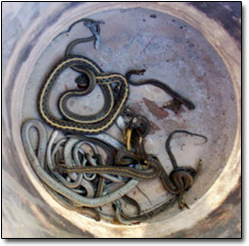 Жуткие вещи, найденные новыми владельцами домов Жуткие вещи, найденные новыми владельцами домов