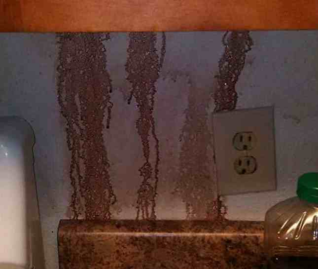 Жуткие вещи, найденные новыми владельцами домов Жуткие вещи, найденные новыми владельцами домов