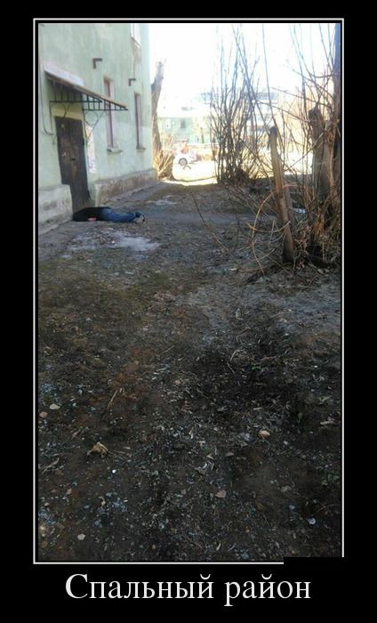 Демотиваторы