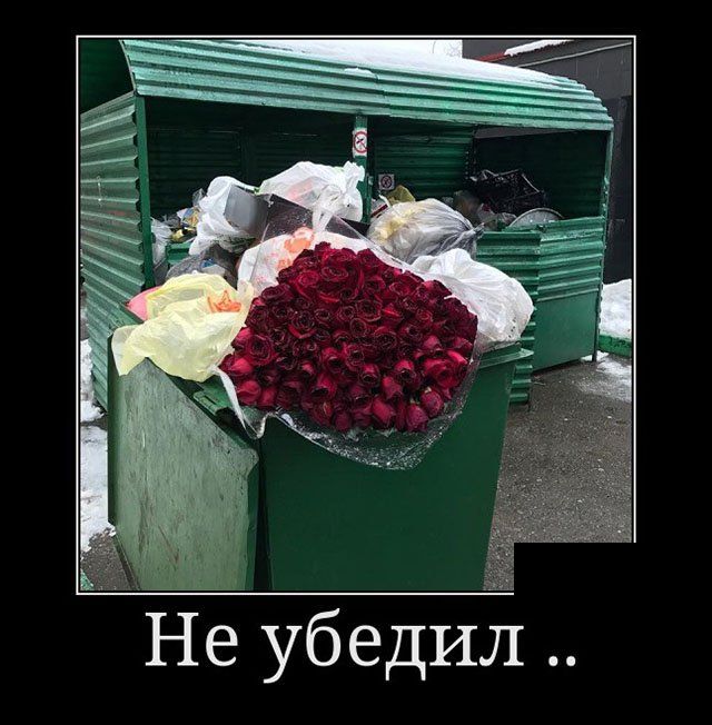 Демотиваторы