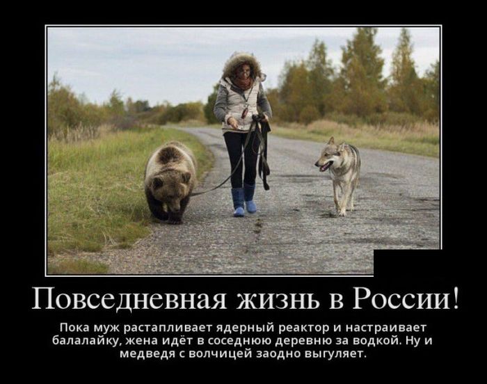 Демотиваторы