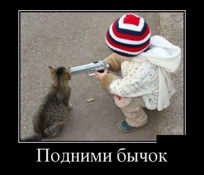 Демотиваторы