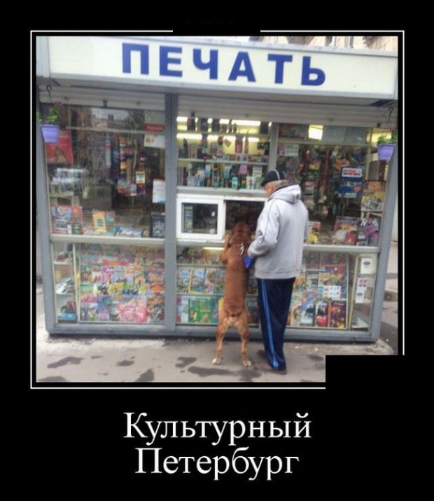 Демотиваторы