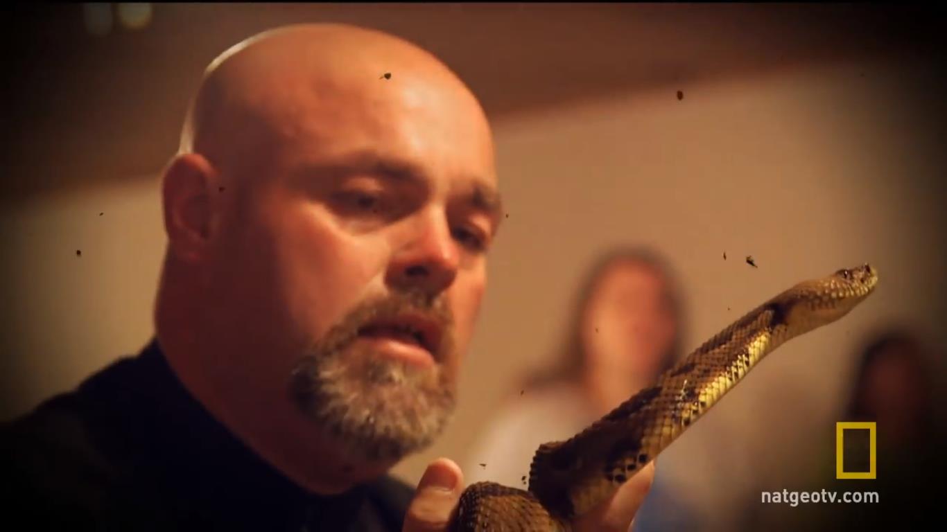 Шокирующие истории о том, как люди погибли от нападения змеи. Часть 1 Шокирующие истории о том, как люди погибли от нападения змеи. Часть 1