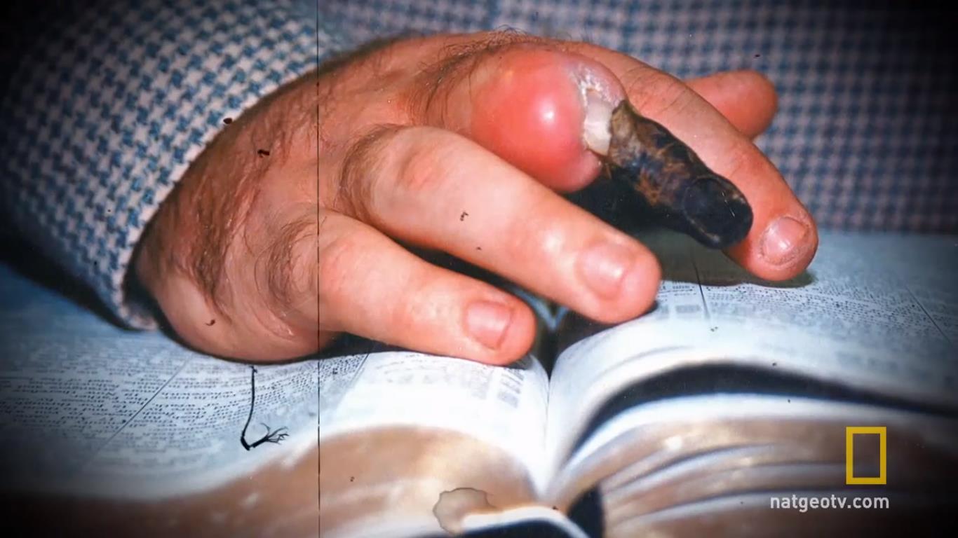 Шокирующие истории о том, как люди погибли от нападения змеи. Часть 1 Шокирующие истории о том, как люди погибли от нападения змеи. Часть 1