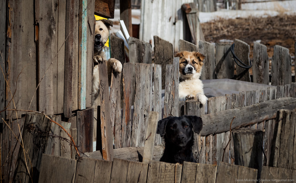 Настоящий российский поселок