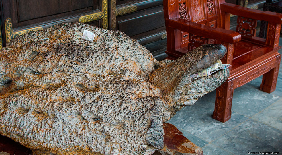 Крупнейший буддистский комплекс во Вьетнаме Bai Dinh