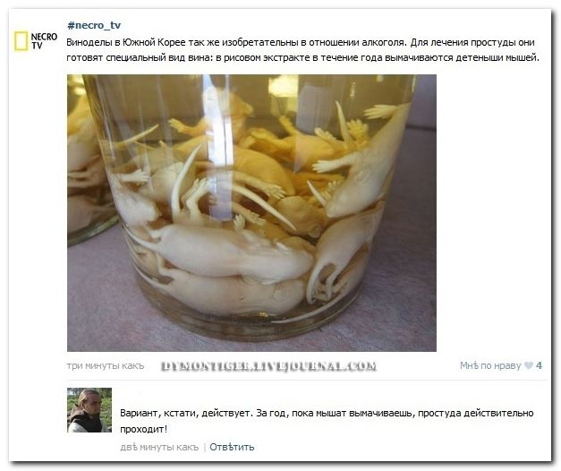 Веселые комментарии из социальных сетей (39 фото)