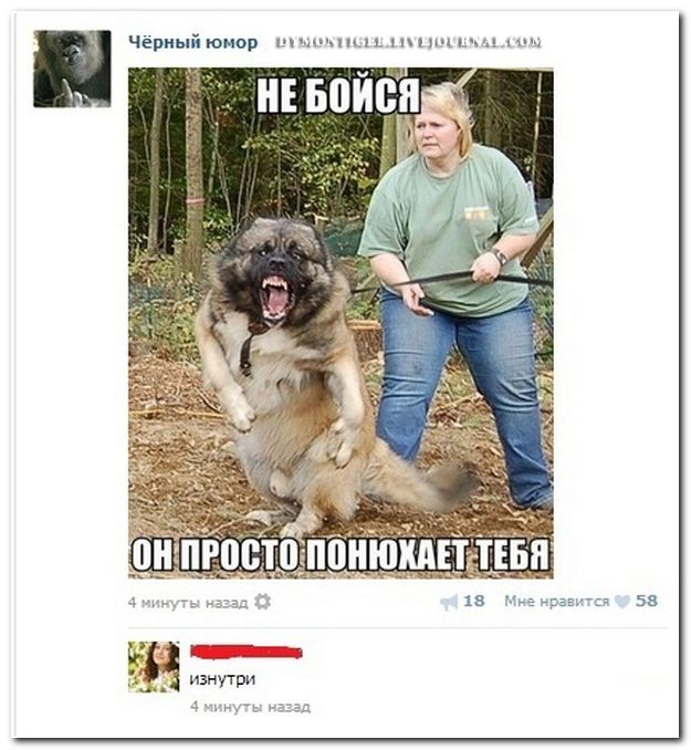 Веселые комментарии из социальных сетей (39 фото)