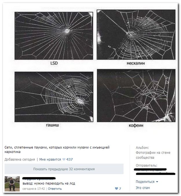 Веселые комментарии из социальных сетей (39 фото)