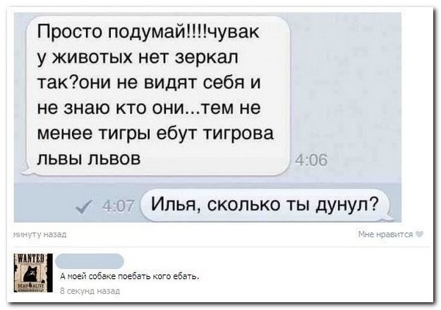 Веселые комментарии из социальных сетей (39 фото)