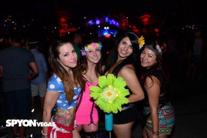 Девушки c Electric Daisy Carnival