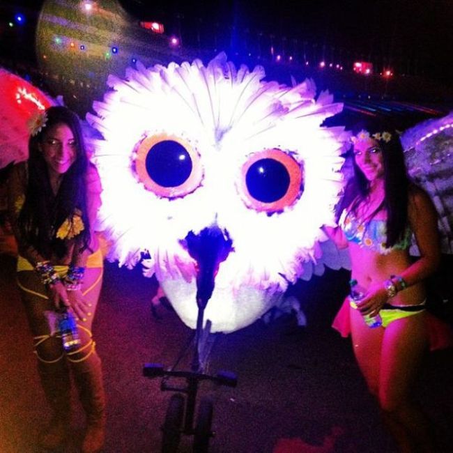 Девушки c Electric Daisy Carnival